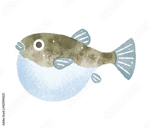 ふぐ　フグ　魚　水彩イラスト
