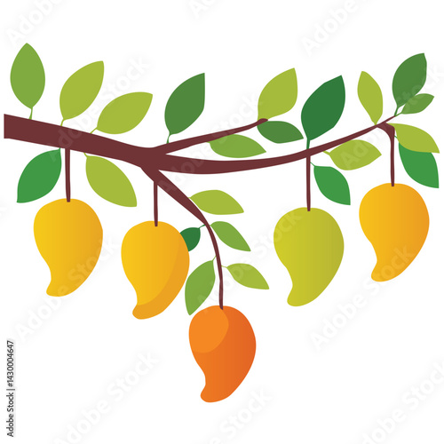 mangoes on its branch with leaves