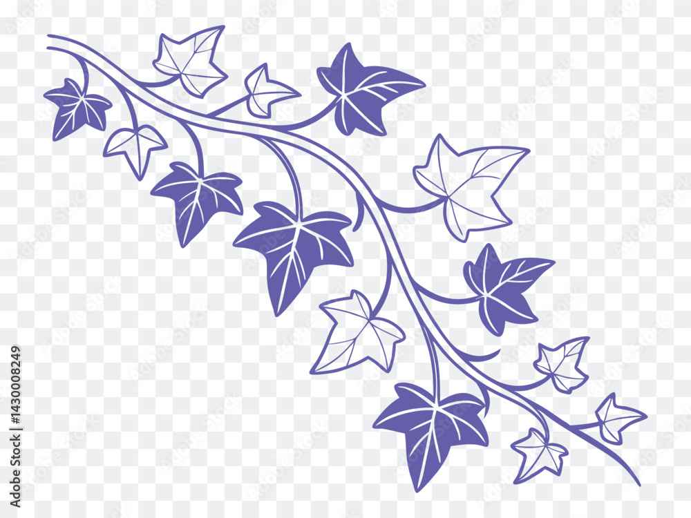 Ivy vine vector design with elegant curling branches and detailed leaves in outline style, perfect for natural borders, botanical patterns, garden themes, or decorative corner elements.
