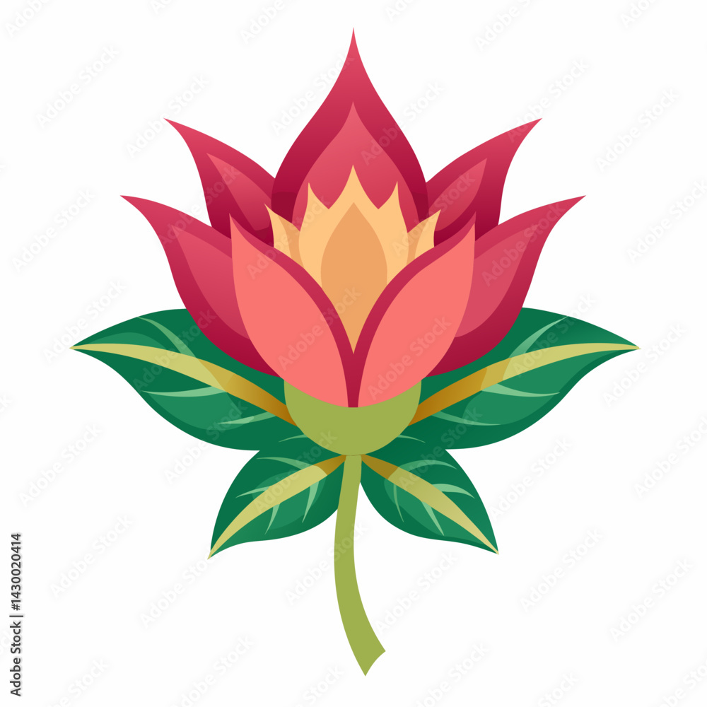 lotus flower vector illustration lotus flower vector illustration