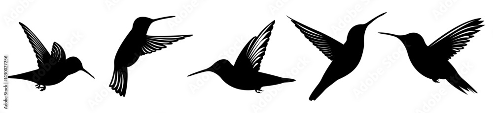 Fototapeta premium Hummingbird Silhouette Vector Collection in Flight Positions