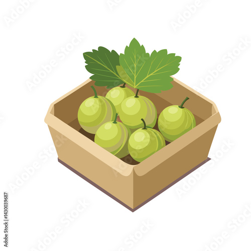 Vector illustration of a box with berries, simple style