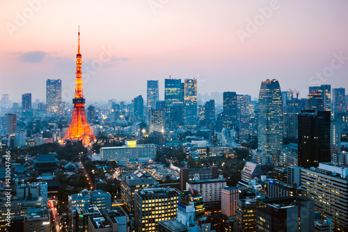 City skyline illuminated at twilight, elevated view, Tokyo, Japan
