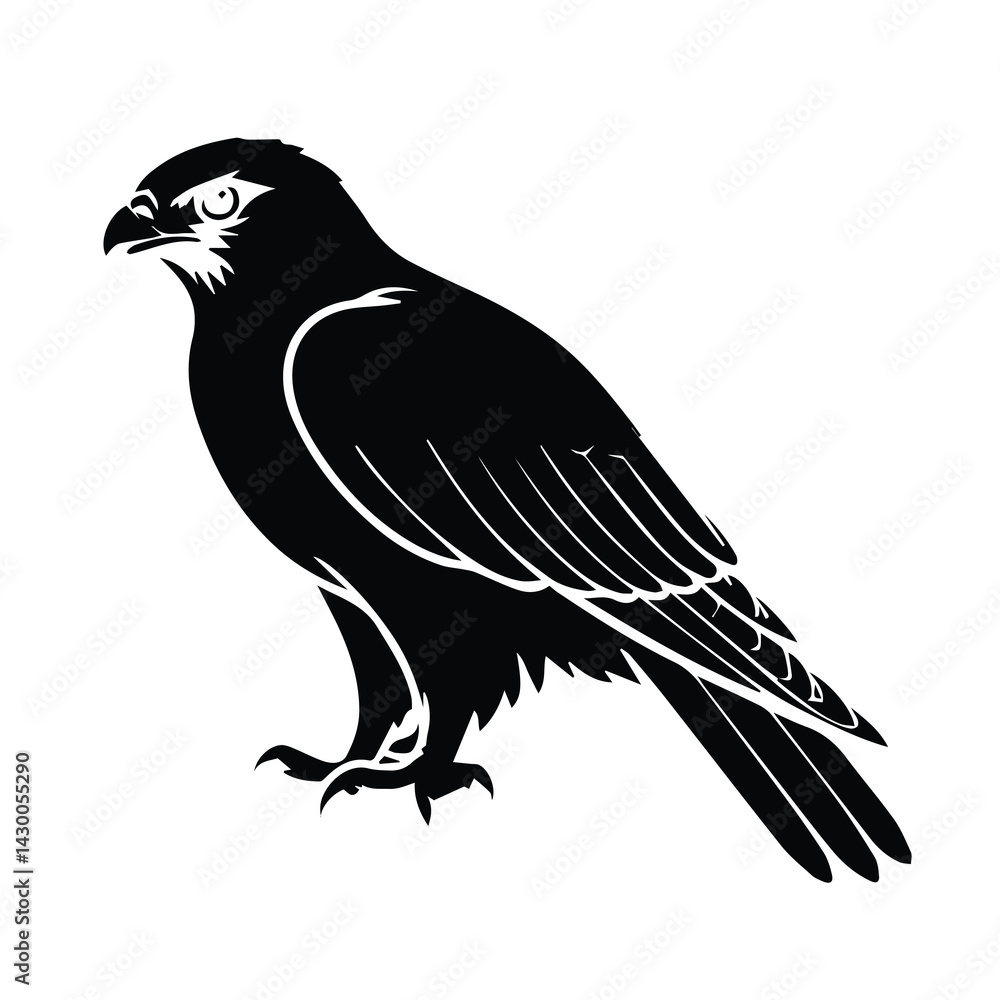 Fototapeta premium crow on a white background