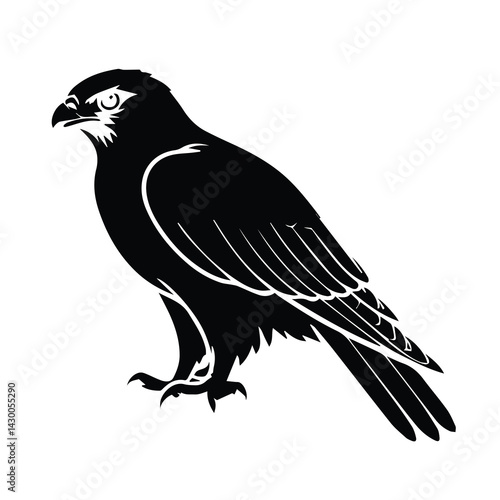 crow on a white background