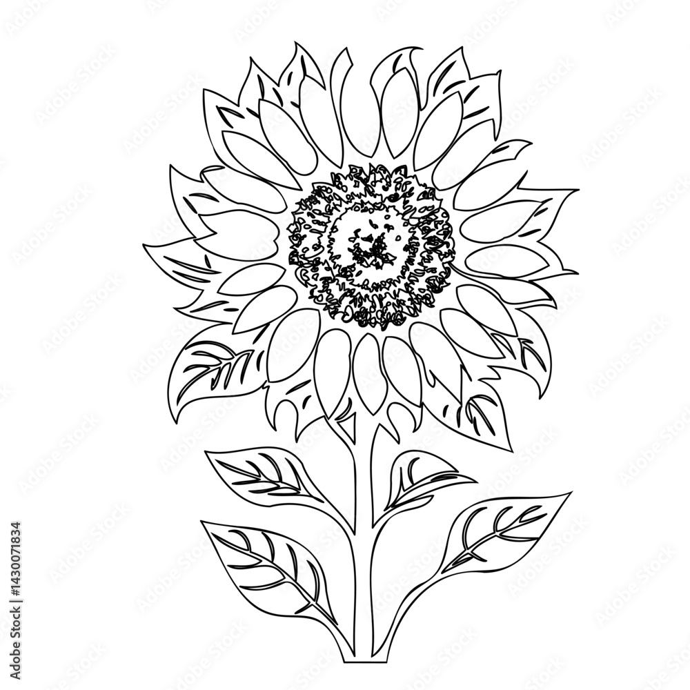 Fototapeta premium Delicate sunflower outline illustration showcasing elegant floral structure