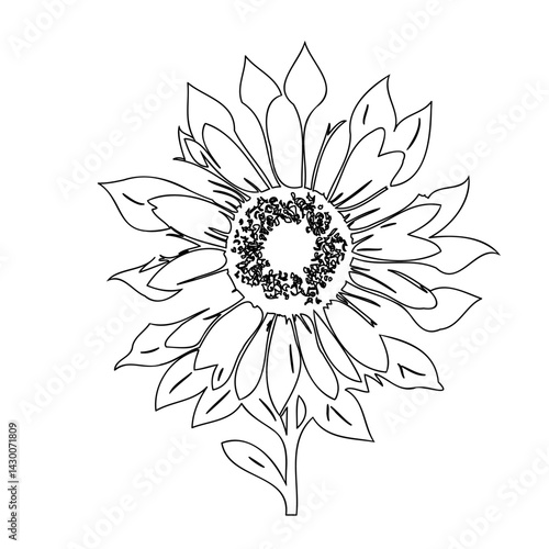 Monochrome floral contour drawing portraying sunflower's elegance and simplicity
