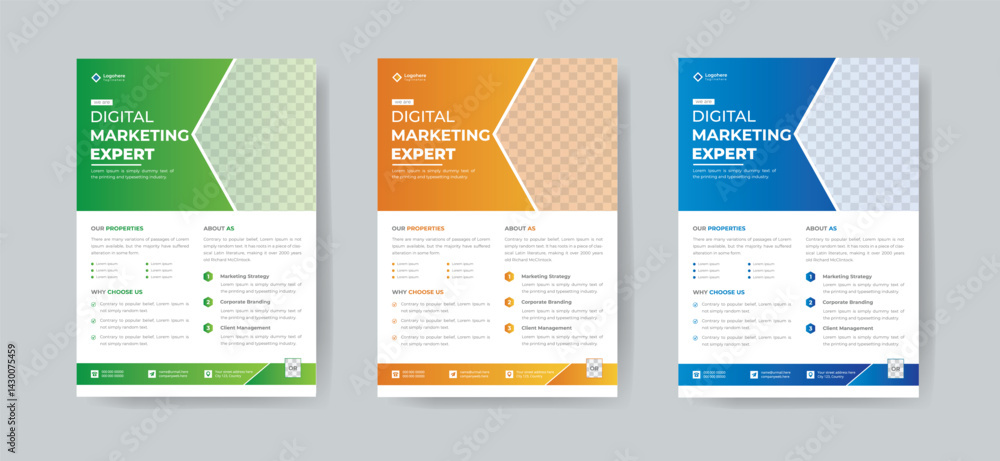 Professional Digital Marketing Flyer – Editable A4 Layout for Corporate Branding with 3 color variations included Professional Digital Marketing Flyer – Editable A4 Layout for Corporate Branding with 3 color variations included