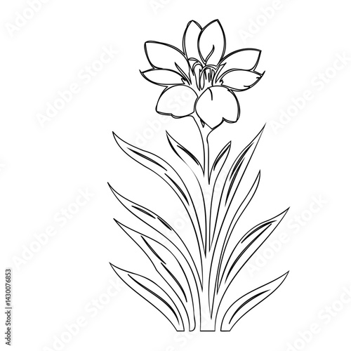 Elegant floral depiction, a minimalist design conveying nature's charm and beauty