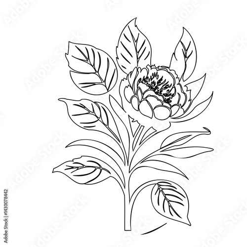 Floral illustration exhibiting a delicately rendered blossom with surrounding foliage