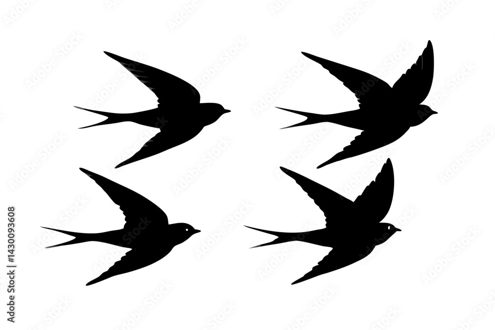Obraz premium set of Barn Swallow vector silhouette illustration isolated on white background