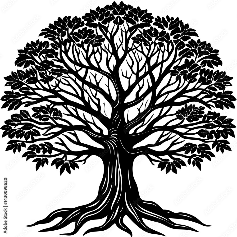 Obraz premium Banyan tree