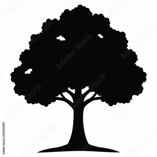 Silhouette of a large, leafless oak tree isolated on white background.