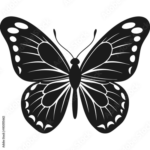 butterfly vector silhouette illustration isolated on white background