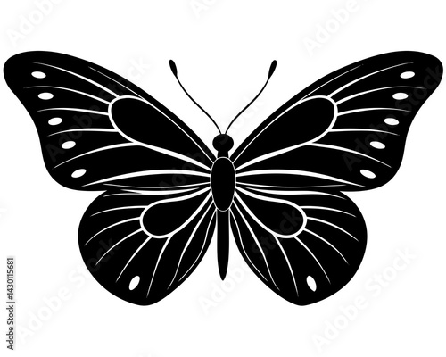 butterfly vector silhouette illustration isolated on white background