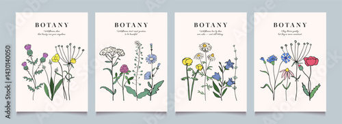 Flower and herb icon poster design. Abstract lines and plant elements. Minimalist botanical vector art. Modern backgrounds. Hand drawn illustration.