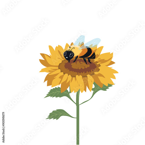 Bee​ on ​sunflower​, white​ background​ . Vector​ ​illustration