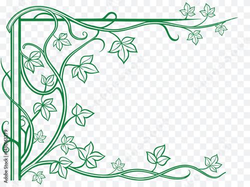 Obraz na płótnie Decorative green ivy corner border design with curling vines and elegant leaves, perfect for invitations, nature-themed frames, eco art templates, or botanical print projects.
w salonie