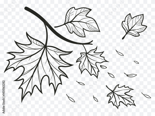 Obraz na płótnie Autumn falling leaves line art illustration with maple foliage blowing in the wind, perfect for seasonal designs, coloring books, tattoos, and minimalist nature-inspired creative projects. w salonie