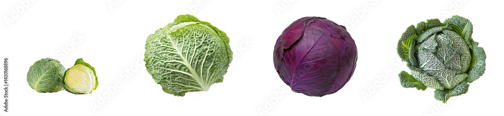 Variety of cabbages on a transparent background for culinary use Variety of cabbages on a transparent background for culinary use
