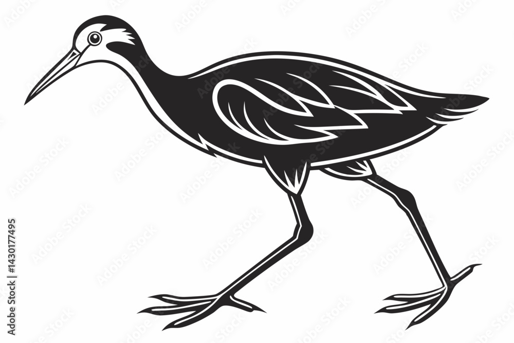Fototapeta premium jacana sihouette black vector