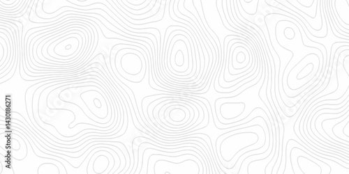 White topography topology vector white background fresh contour map texture. white seamless pattern Abstract background with a wave Topography and geography map grid abstract backdrop.