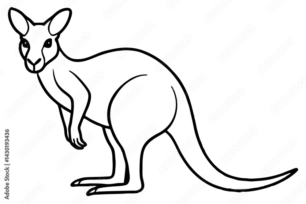 Minimalist Kangaroo Line Art Minimalist Kangaroo Line Art