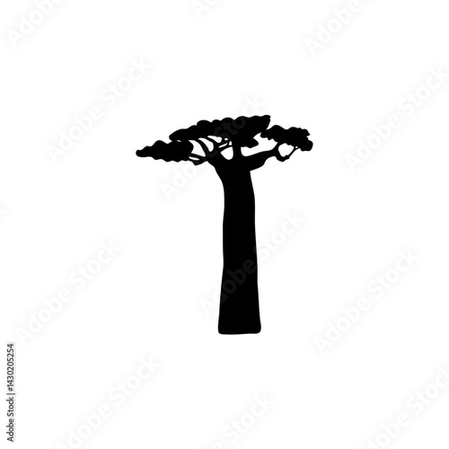 Baobab trees silhouette