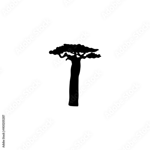 Baobab trees silhouette