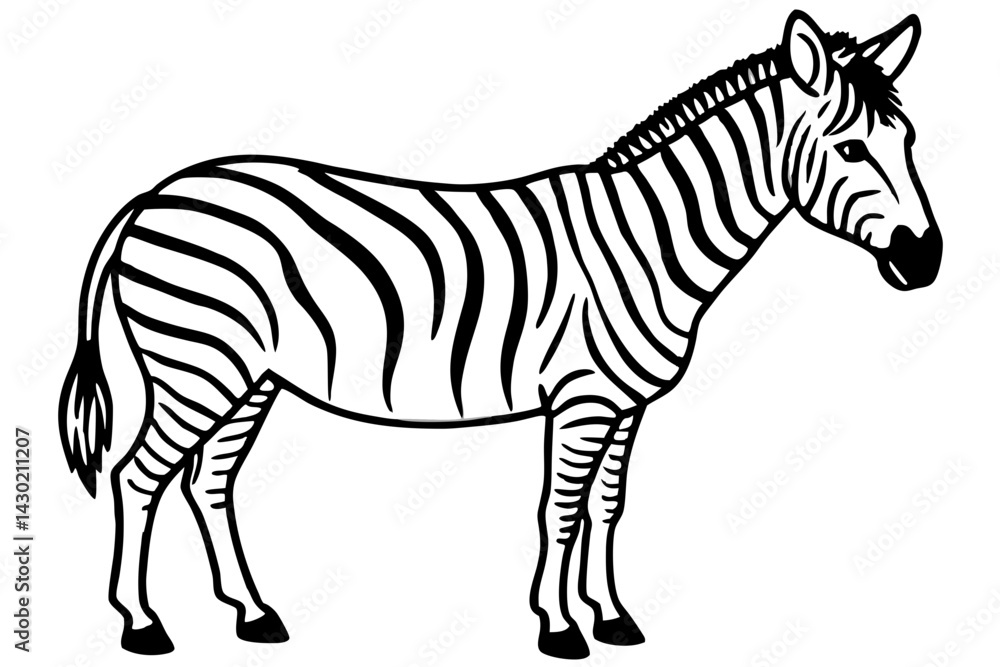 Obraz premium Minimalist Zebra Vector