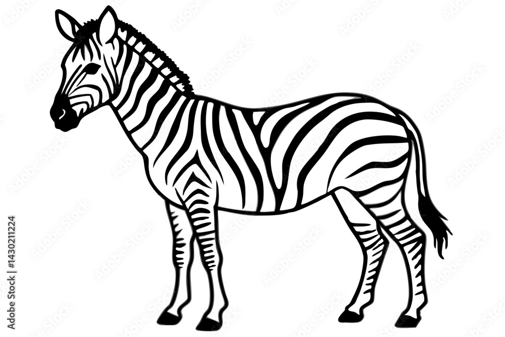 Fototapeta premium Minimalist Zebra Vector