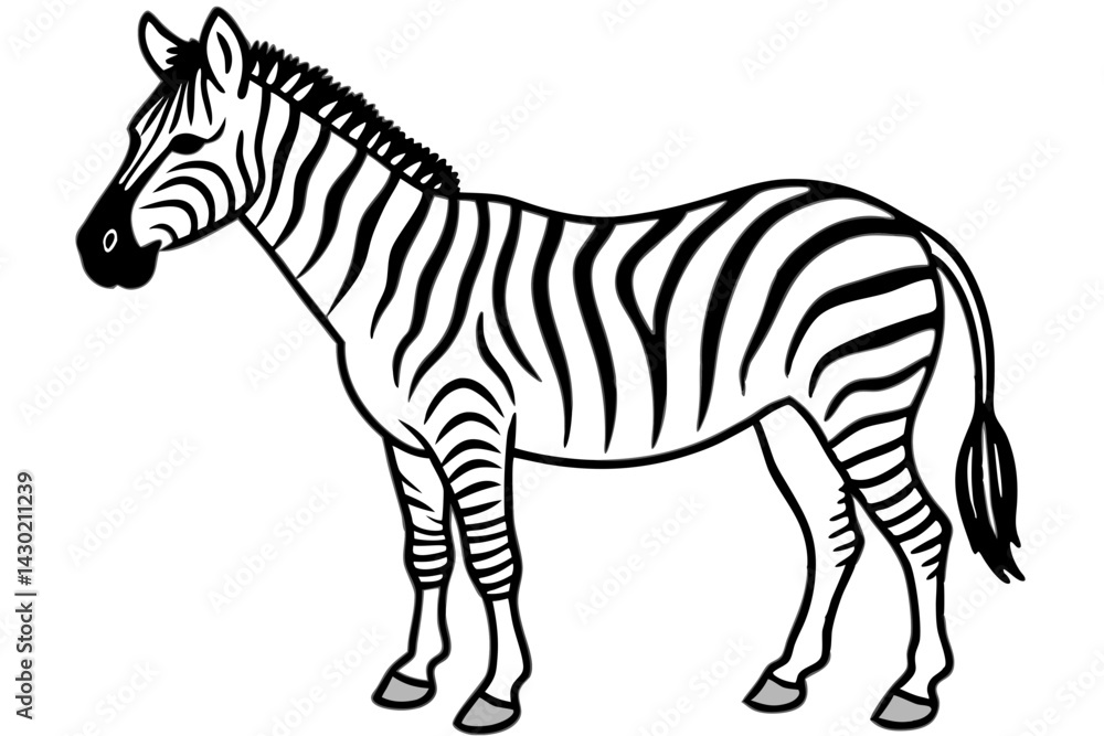 Obraz premium Minimalist Zebra Vector