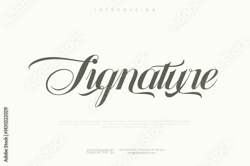Hand drawn Signature Hand drawn vector alphabet. Modern monoline signature script font. Elegant Signature Font. Best Alphabet Beautiful Calligraphy Signature Font lettering handwritten
