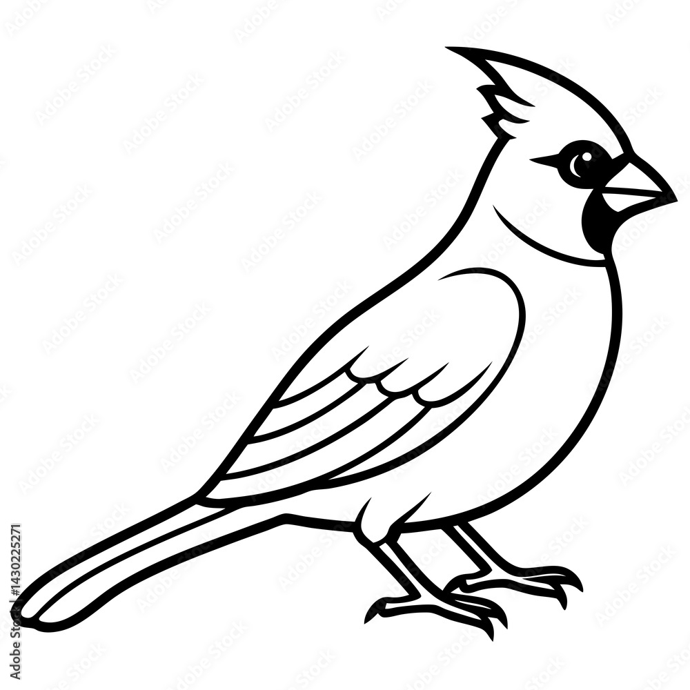 Obraz premium Elegant Cardinal Outline Vector Design