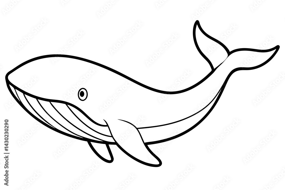 Modern Whale Art Vector Modern Whale Art Vector