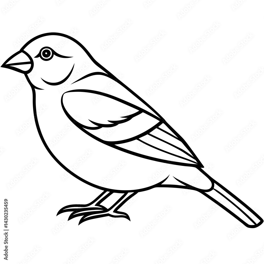 Obraz premium Elegant Finch One-Line Drawing