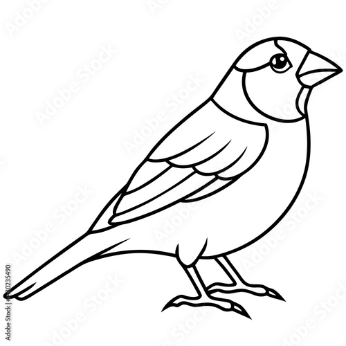 Elegant Finch One-Line Drawing
