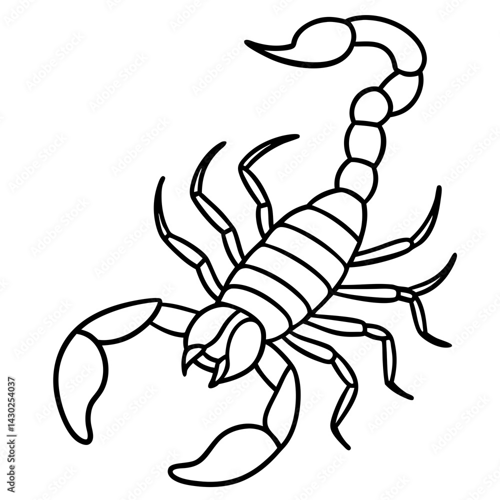 Fototapeta premium Elegant Scorpion Line Drawing