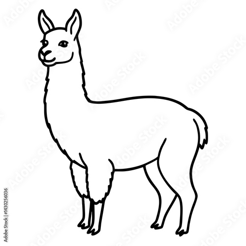 Elegant Llama Line Art Illustration