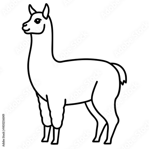 Elegant Llama Line Art Illustration