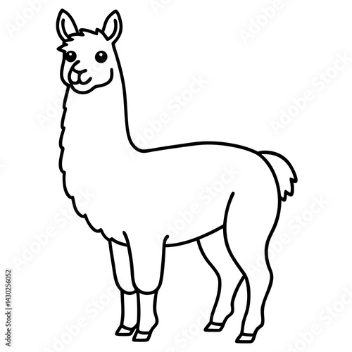 Elegant Llama Line Art Illustration