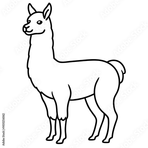 Elegant Llama Line Art Illustration