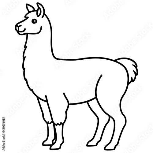 Elegant Llama Line Art Illustration