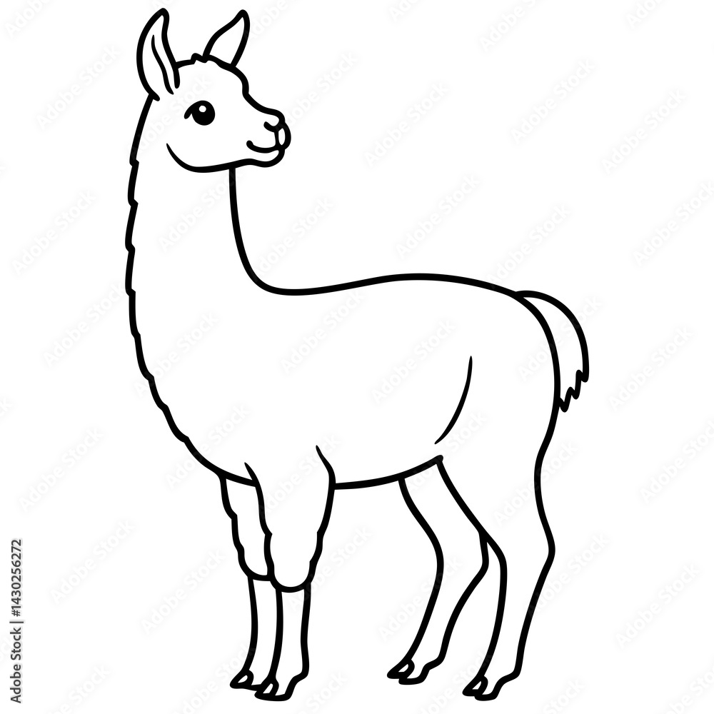 Elegant Llama Line Art Illustration Elegant Llama Line Art Illustration