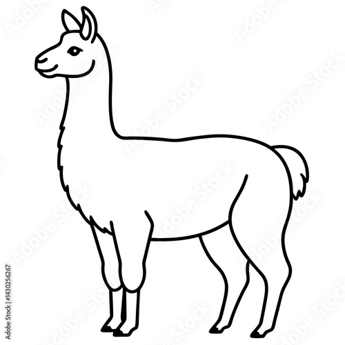 Elegant Llama Line Art Illustration