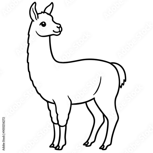 Elegant Llama Line Art Illustration