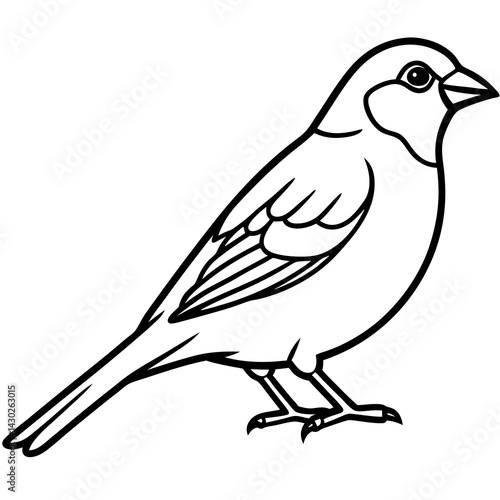 Elegant Sparrow in Single Line Art