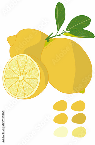 Illustration of three yellow lemons vector