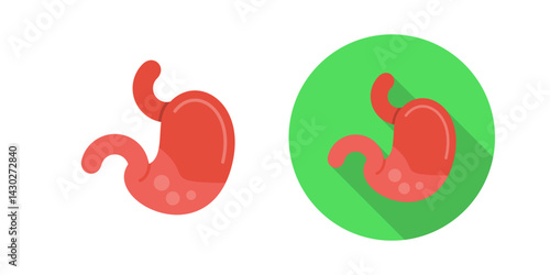 Stomach Vector Icon