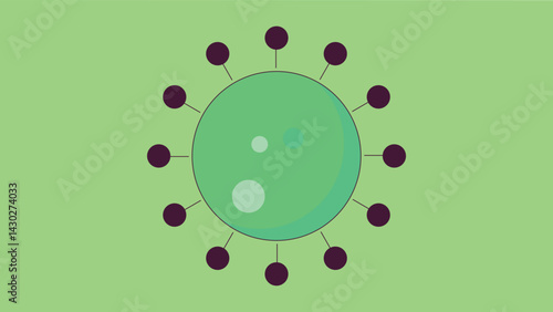 illustration of the structure of a human virus and bacteria. The virus is shown with its protein coat and genetic material